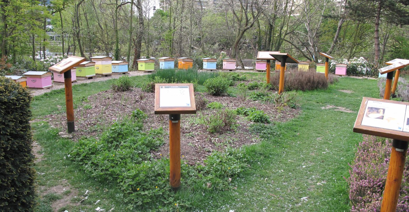 Meadowline apiary